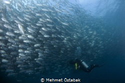 photographer by Mehmet Öztabak 